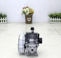 75.6cc Gasoline Engine for Two Stroke EBZ8500 Backpack Snow Blower Leaf Blower Fire Extinguisher 1