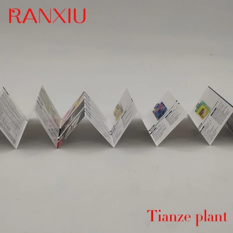 Рисунок 4 - Пользовательская 2022 печать брошюры и листовка