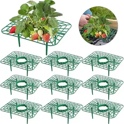 10 Pack Green Strawberry Support Stands - Planting Frames for Clean, Elevated Growth (10PCS)