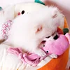 Pet Plush Toy for Small Large Dogs Cats Molar Training Squeaky Toys Octopus Shape Interactive Cotton Rope Toy Dog Accessories 5