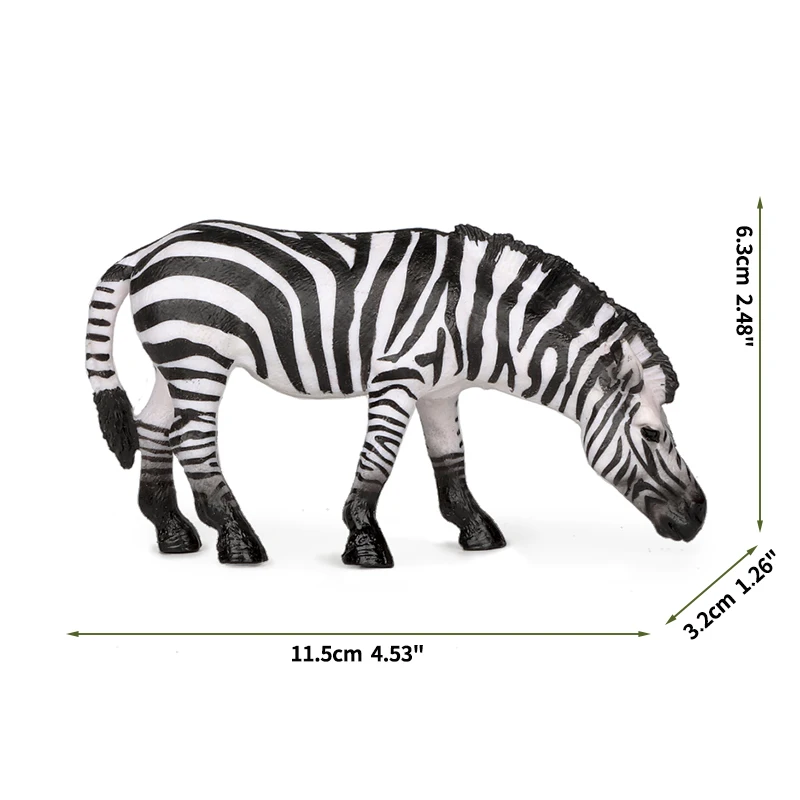 zebra