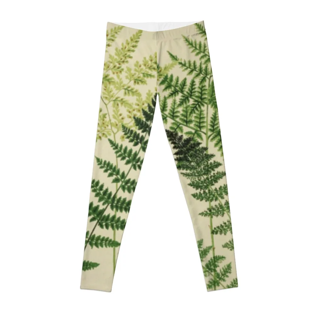 

Botanical Ferns Leggings harem pants push up tights for legging push up Womens Leggings