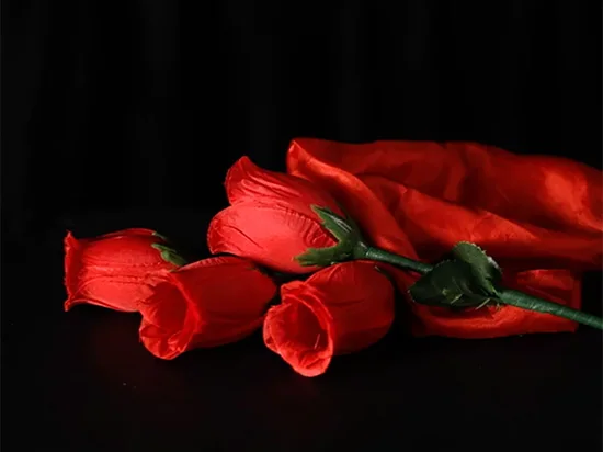 Rose 2.0 Magic Prop Image 5