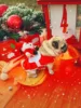 Pet Christmas clothes Santa transformation costumes, festive funny and cute outfits for parties, dog and cat party clothes 4