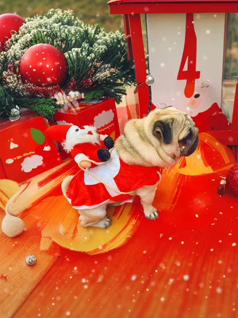 Pet Christmas clothes Santa transformation costumes, festive funny and cute outfits for parties, dog and cat party clothes 4