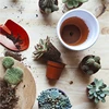 5/10Pcs 20x30cm Flower Pot Hole Mesh Pad Bonsai Bottom Grid Mat Mesh Prevent Soil Loss Drainage Netting Tray Gardening Supplies 6