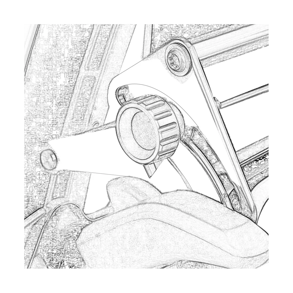 thumb