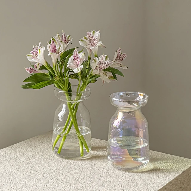 Iridescent Glass Vases Hydroponic Flower Vase Modern Glass Plants Bottle Living Room Wedding Table Centerpieces Home Decoration