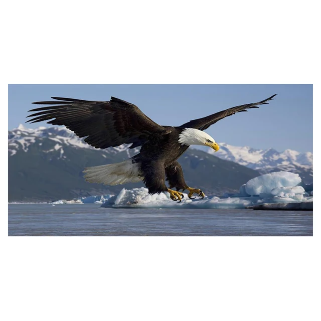 현대 동물 독수리 그림 - 인테리어 홈 데코 캔버스 페인팅