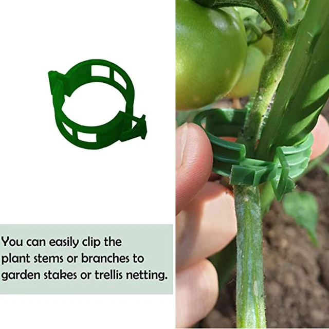 100Db/Beállított Növényi Klip Csat Csarok Műanyag Tartók Csatlakozás Újrahasznosítható Tartó Kertészeti Készletek Zöldség Paradicsomhoz