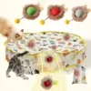 Interactive Cat Toys Ball Cover Set Fast Rolling in Pouch Hide and Seek Kitten Toy Motion Activated Interactive Cat Toy Indoor