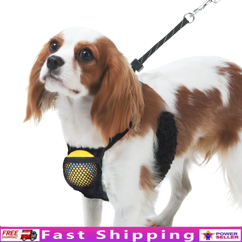 Non-Pulling Dog Harness with Storage Pouch – Adjustable Reflective Lightweight Mesh Step-In Design