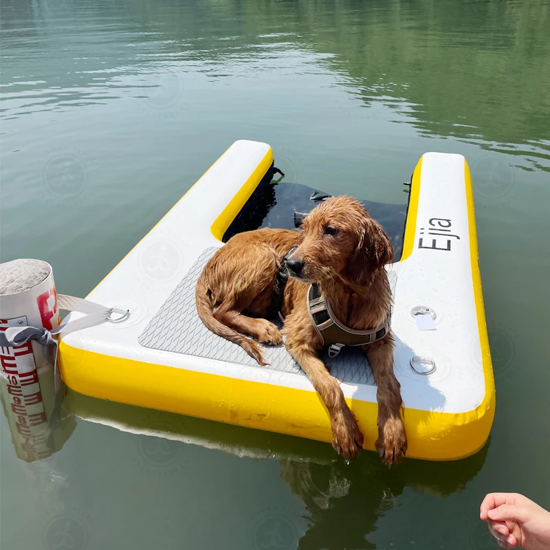 Funboy Dog Pool Floaties FUNBOY X BARK Private Jet Dog Float Pool