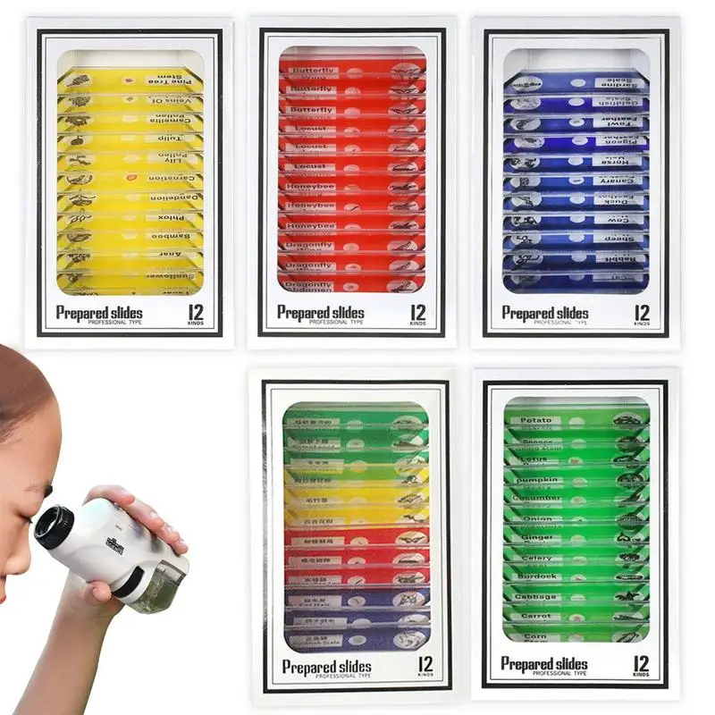

Children Portable Scope Handheld Children Scope 60X-120X Magnification STEM Educational Science Toys Mini Handheld Kit For Kids