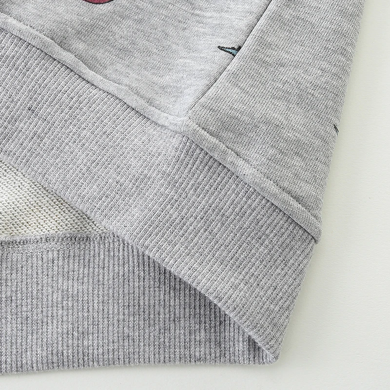 Autumn Spring Children's Clothing Baby Boys Hoodies for Kids Clothes New Infants Dinosaurs Sweatshirts Cotton