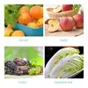 Multifunctional Air Bubble Fruit & Vegetable Washing Machine With Conveyor Belt Shrimp Mussel Cleaning Machine Potato Cleaner 4