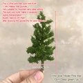 Pine tree 10cm deep