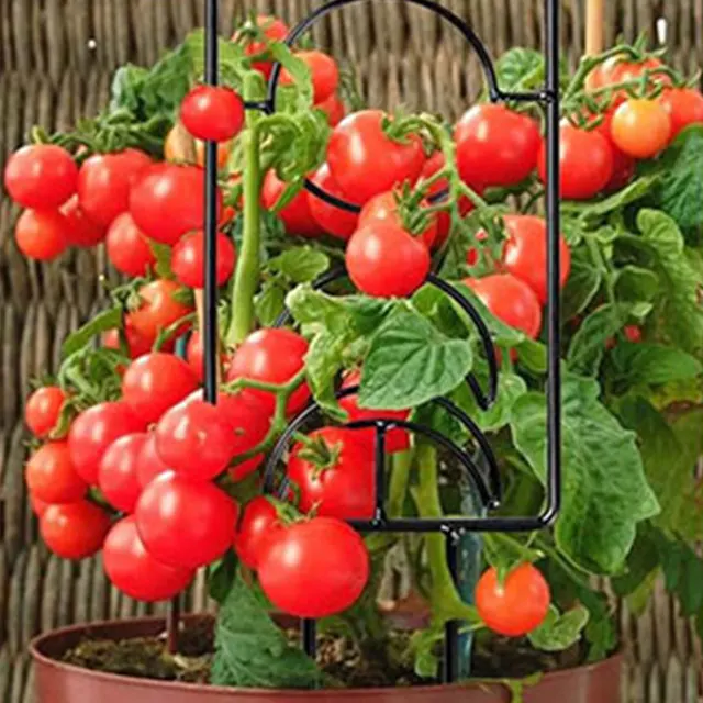 Fémrácsos A Kerti Növényi Mászóállvány Cserepes Növények Mászó Növényeihez - Image 2