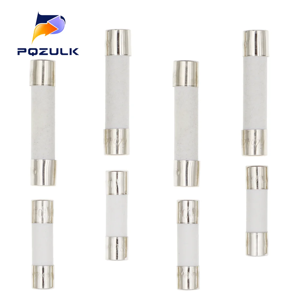 DollaTek 6x30 Fusibili in Vetro a soffiaggio rapido Fusibili a Tubo