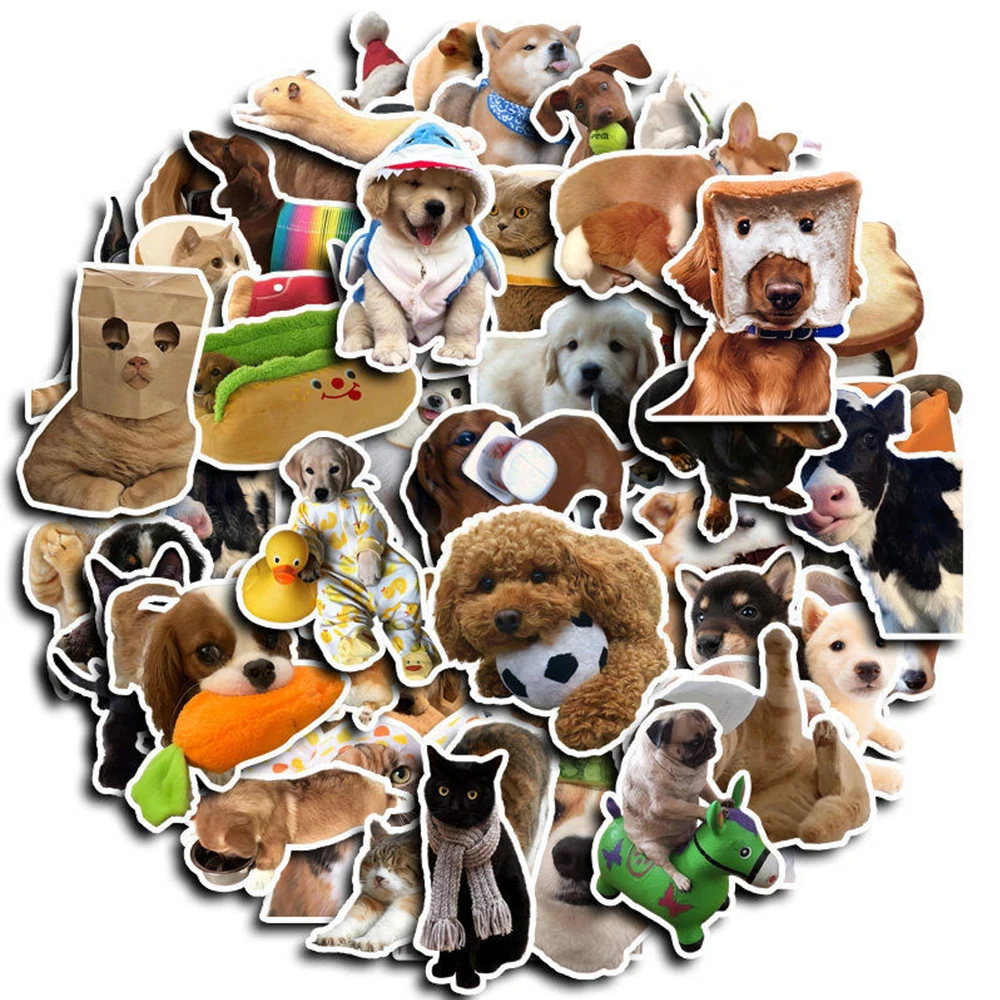 

10/30/50pcs Cute Funny Cat Dogs Meme Stickers Aesthetic Kawaii Decals DIY Fridge Skateboard Phone Bike Car Kawaii Sticker Toys