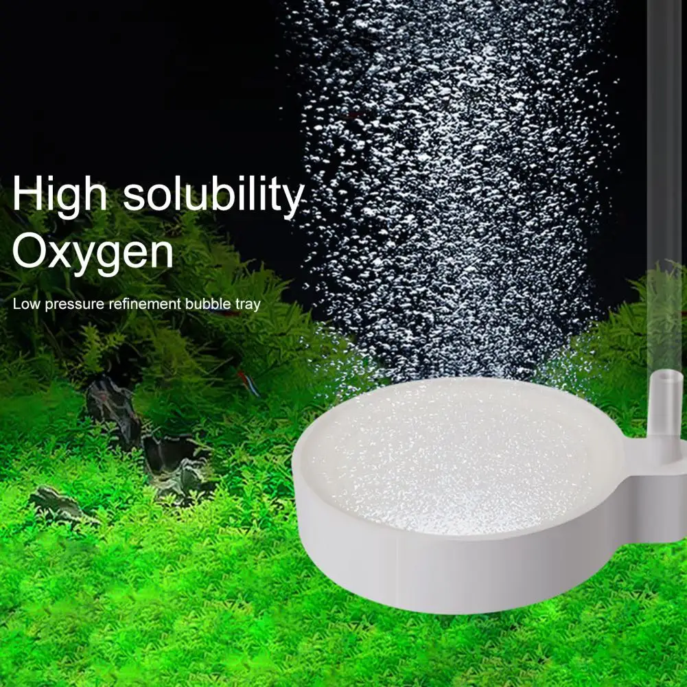 

Aquarium Air Stone Round 4mm Tube Silent Oxygenation Integrated Hydroponic Fish Tank Oxygen Diffuser Bubble Plate for Aquarium