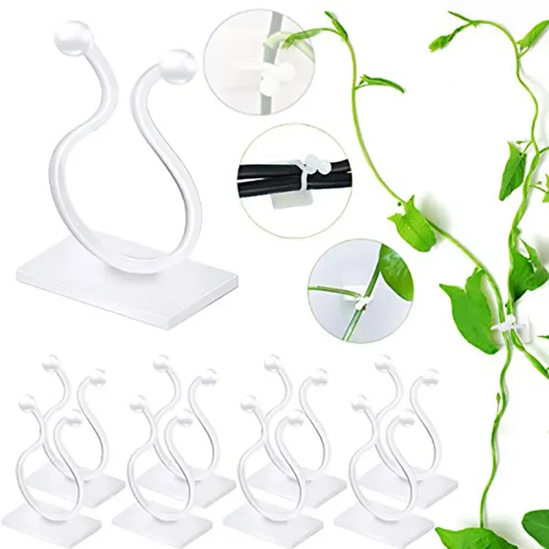 Plant Climbing Self-Adhesive Wall Vines Tools Fixture Plant Wall Fixture Clips Fixed Buckle Hook for Home Garden Sticky