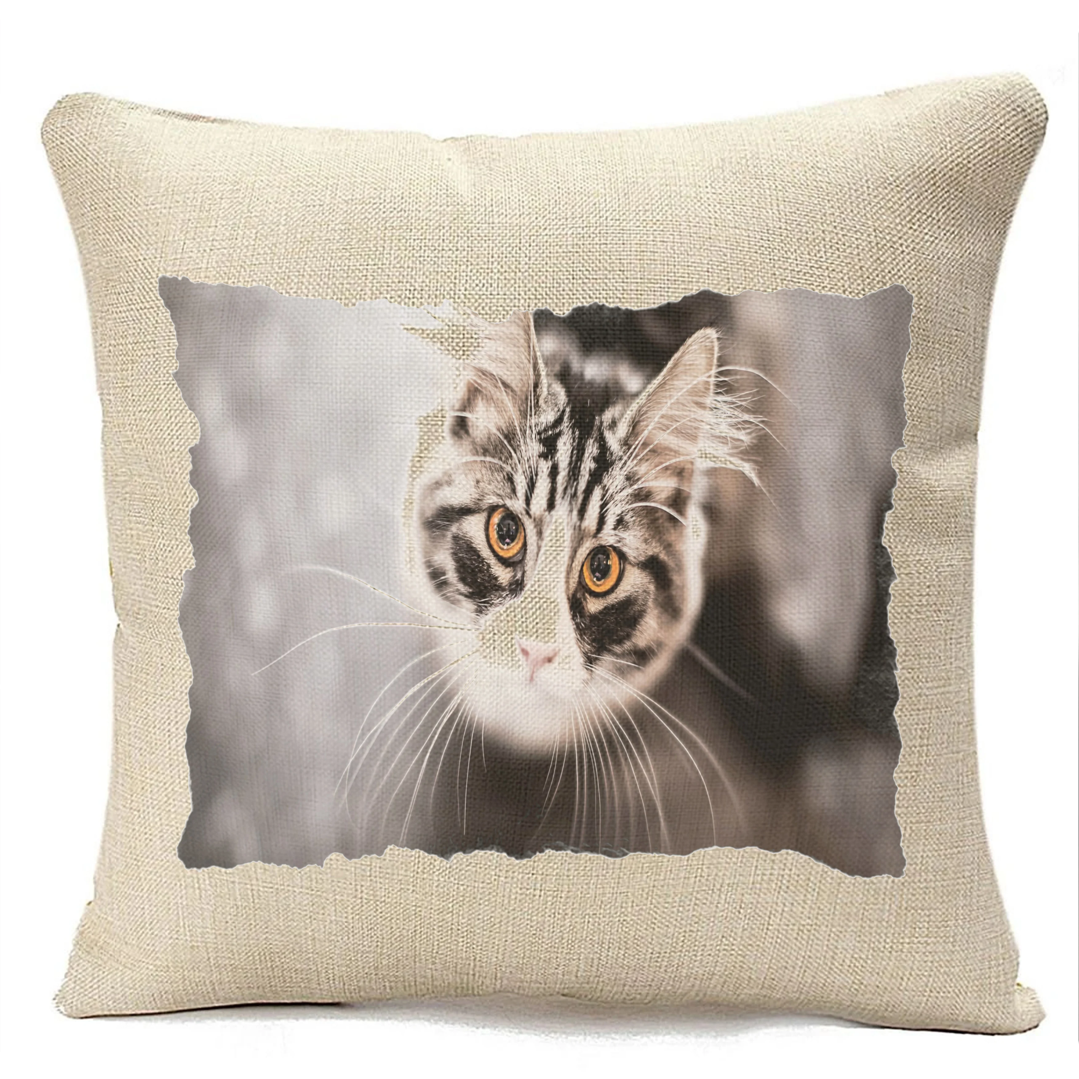Pillow beige cat looks at the top |