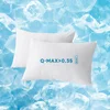 2pcs Cooling & Waterproof Pillowcases (Q-Max: 0.35) 100% Cooling Nylon Jacquard Pillow Cover with Zipper for Hot Sleepers Summer 1