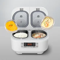 D30W1 Double 1.5L inner pot rice cooker Mini Smart Small Rice Cooker Household Multi-Function Rice Cooker 2-3 People 1