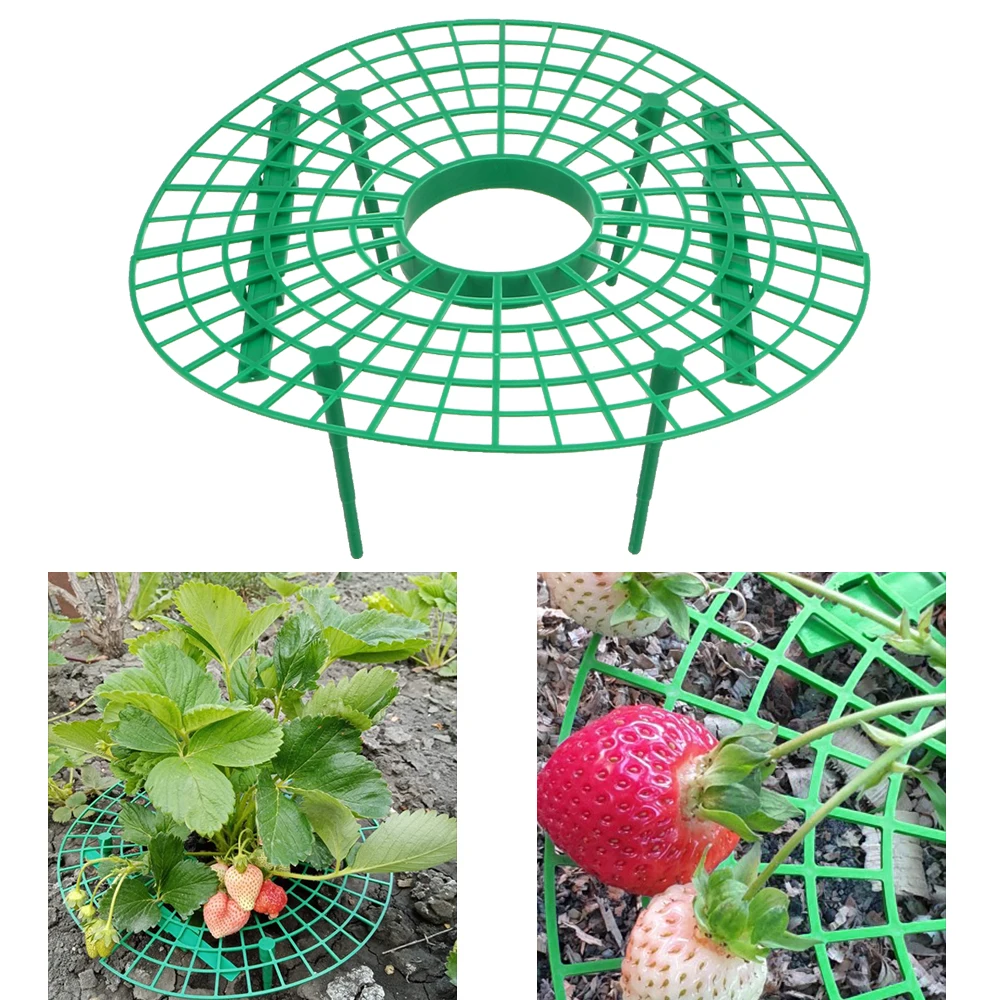 

Plastic Strawberry Growing Support Stand Plant Tray Rack Fruit Support Plant Flower Climbing Vine Pillar 5pcs/set