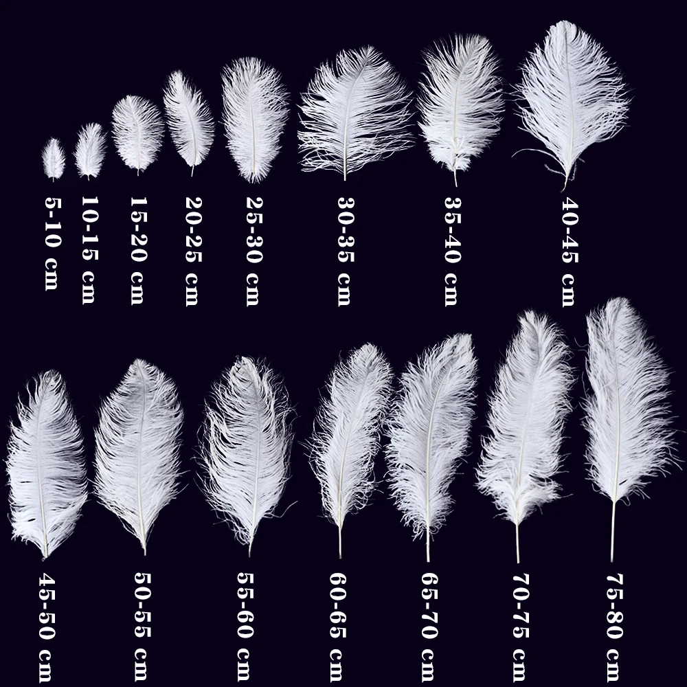 10/50/100/200 PCS Natural Ostrich Feather 15-75cm/6 to 30inches Ostrich Plumage Wedding Centerpiece Clothing Plumes Decor
