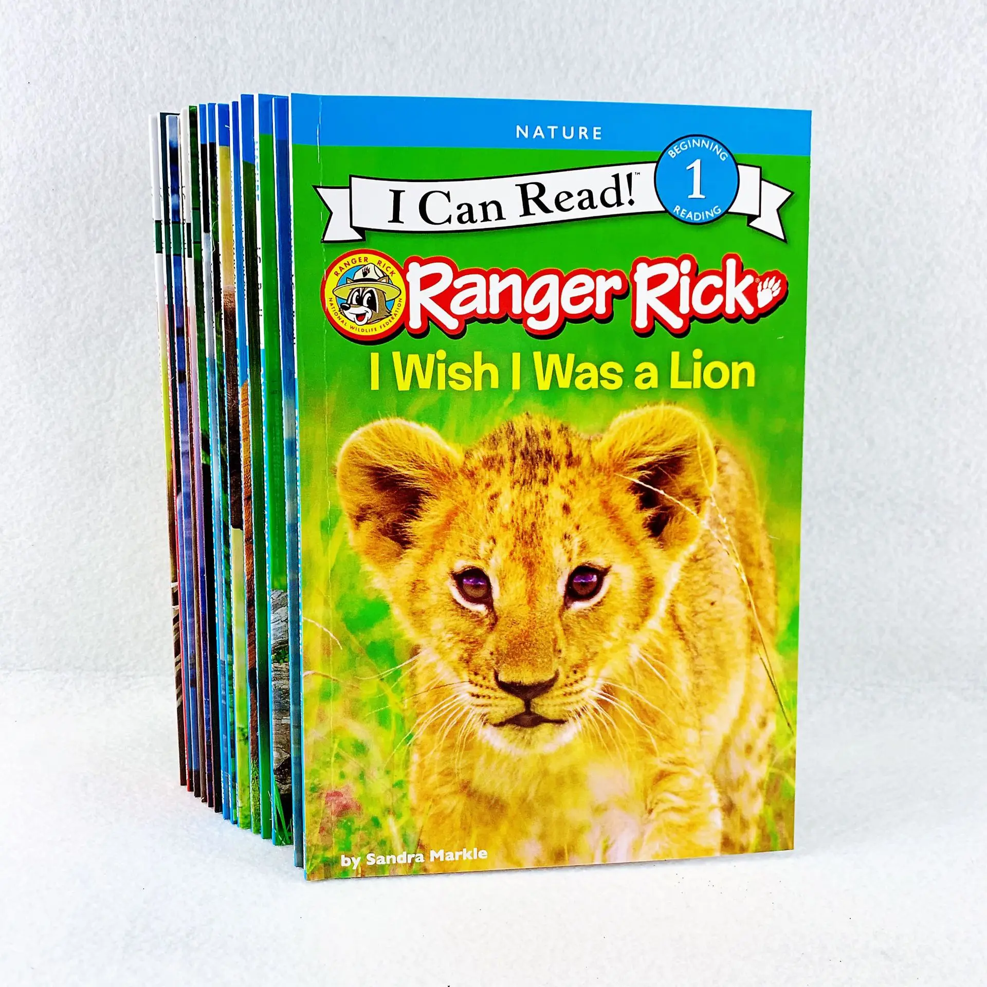 

Animal English reading picture book