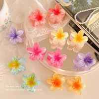 Flower Hair Claw Hawaiian Gradient, Mini Fashion Hair Clips for Women Baby Girls, Crab Barrette Headwear Hairpin Accessories - Image 3