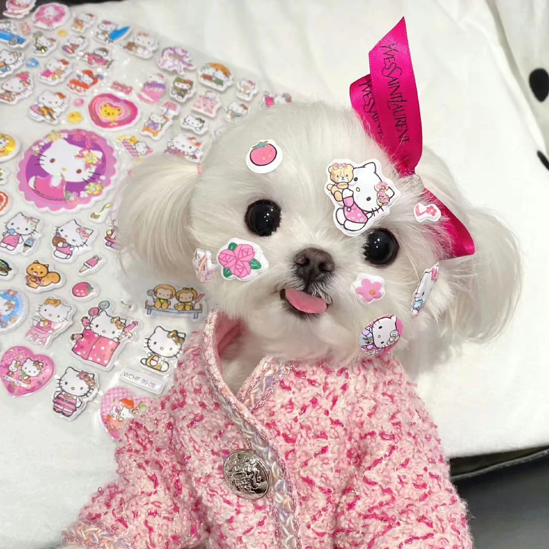 Chibi Maruko-Chan Mug Tea Water Separation Coffee Mug Thermal Cup