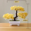 Yunsong yellow