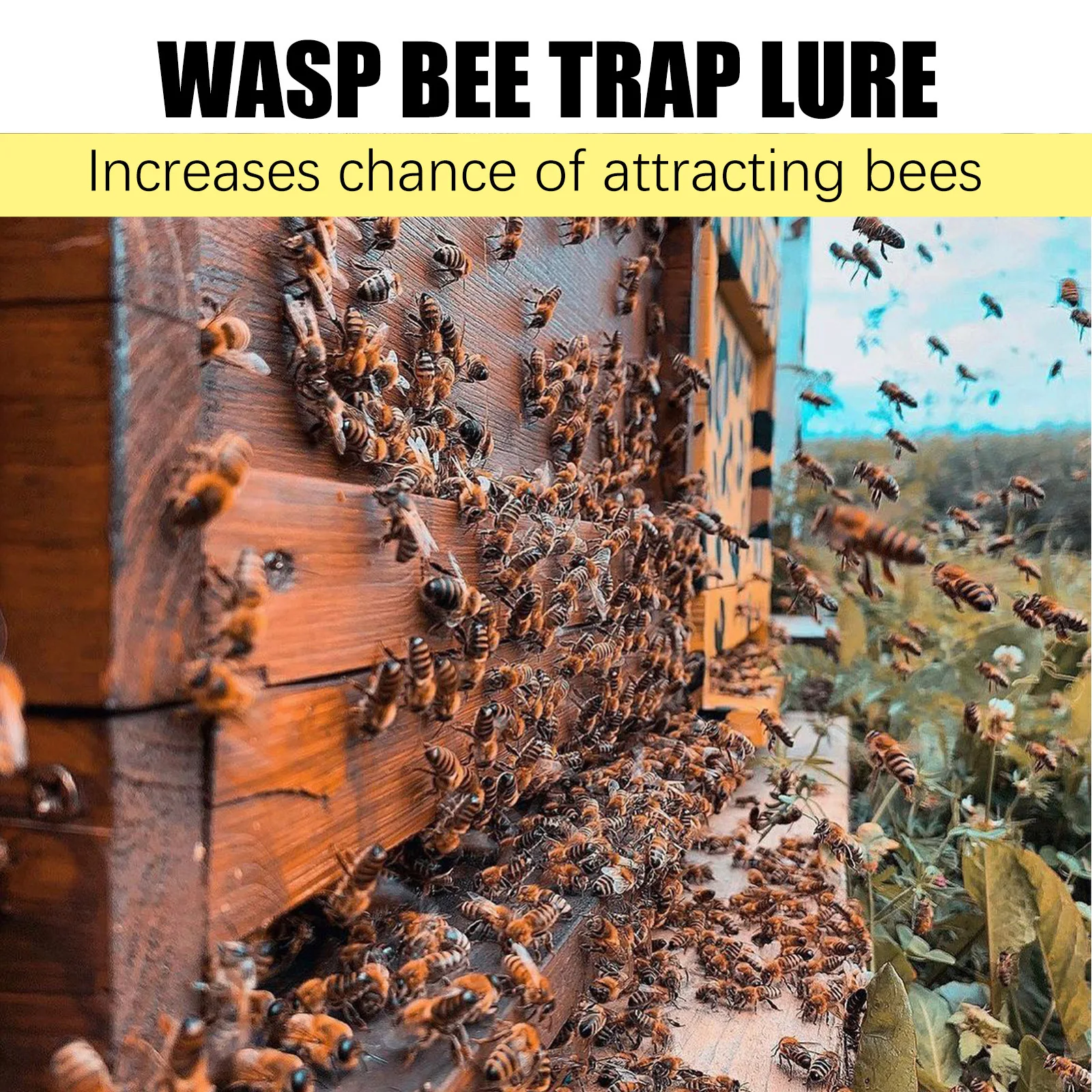 Description Picture 5 of itemBee Attractant Lure Bee Queen Pheromone Catching Bait Swarm Lure Beekeeping Attract Bait Swarm Commander Honeybee Trap Liquid