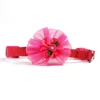 100/200pcs Wholesale Pet Cat Collar Safety Bow Dog Collar With Bell Small Dogs Adjustable Puppy kitten Collar Pet Accessories 4