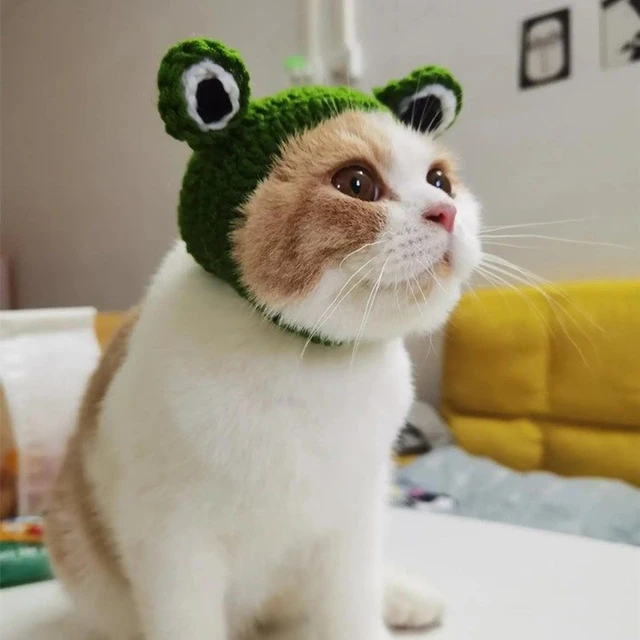 Autunno inverno gatto cappello elastico carino raffinato Pet cappello  cucciolo gattini cappello lavorato a maglia partito servizio fotografico  puntelli decorazione accessori per gatti - AliExpress