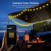 WS2812B RGB LED String Garland Light 10m 5m Smart IC APP Bluetooth Remote Fairy Lights Dreamcolor Garden Party Christmas Decor - Image 4
