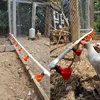 10/20 Pcs Hot New Quail Automatic Fowl Bowl Chicken Hen Poultry Water Drinking Cups Plastic Automatic Drinker Plastic 6