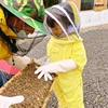 1Set Children Anti-Bee Suit Breathable Suit for Kids Beekeeping Practicekid Beekeeping Clothing Apiculture Equipement + Gloves 1