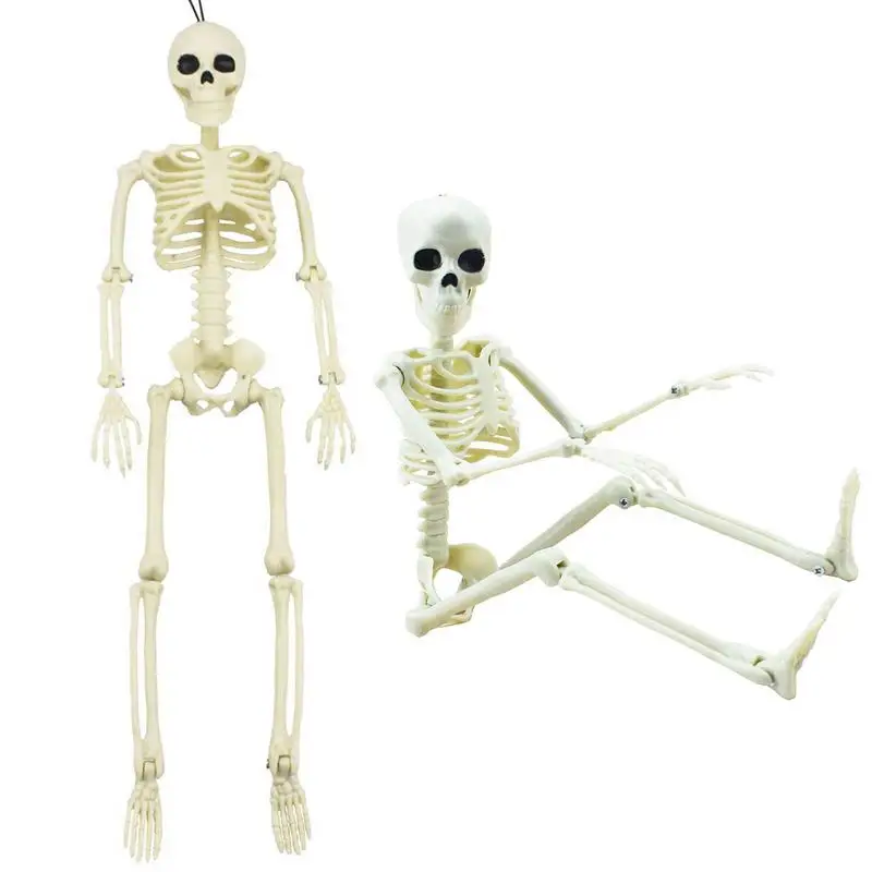

Skeleton Action Figure Movable Joint Skeleton Human Model Skull Skeleton Figure for Halloween Props Spooky Party Decoration