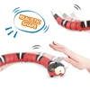 Interactive Cats Toy Funny Teasing Toy Rechargeable Toy Electric Crawling Toy for Felines Play Toy Cats Supplies 2