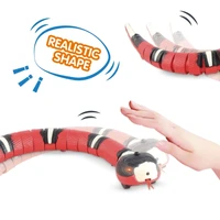 Interactive Cats Toy Funny Teasing Toy Rechargeable Toy Electric Crawling Toy for Felines Play Toy Cats Supplies 2