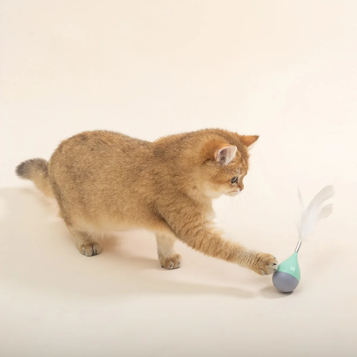 Cat Tumbler Toy with Feather Interactive Cat Entertainment Toy Cats