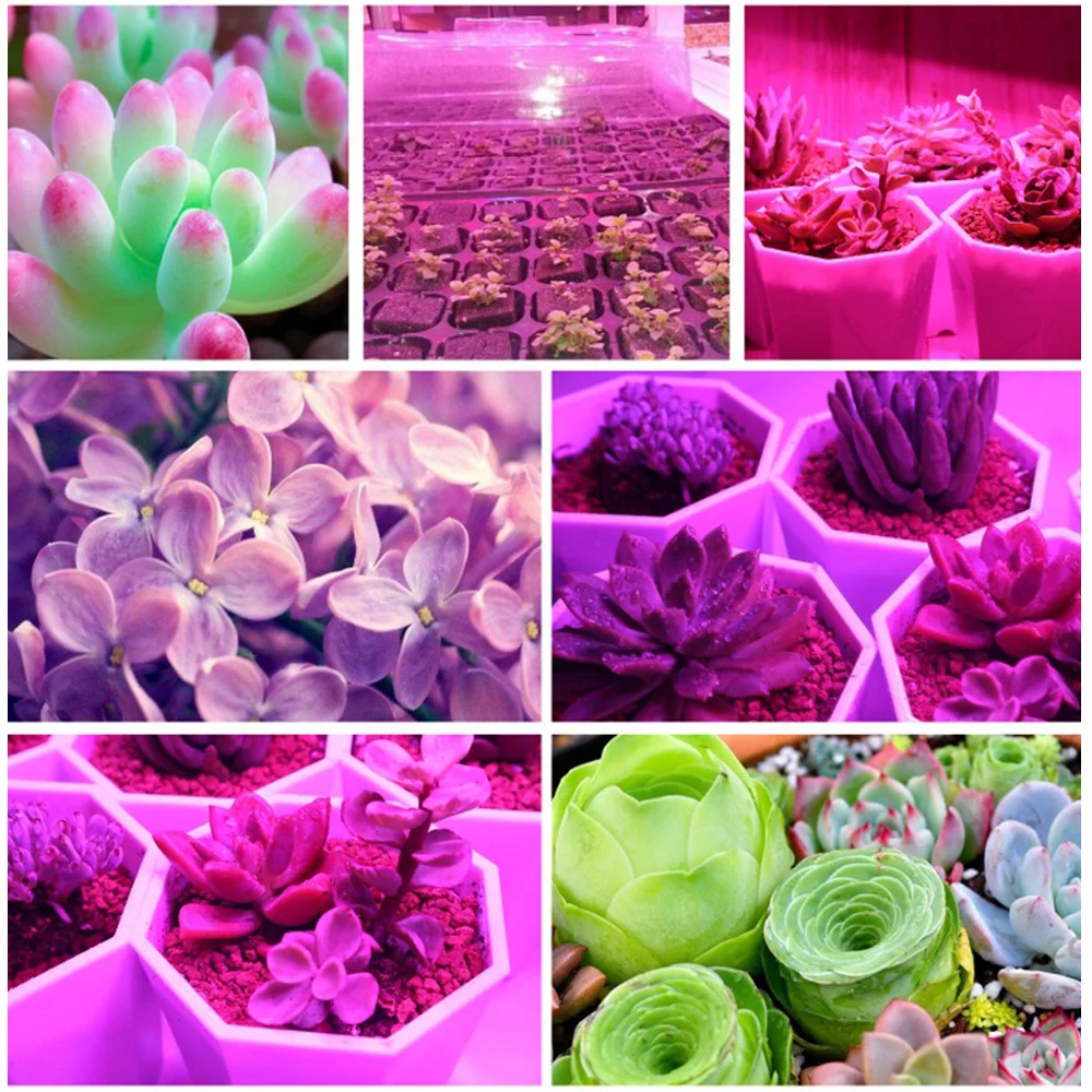 LED COB Chip Grow Light Full Spectrum AC220V Smart IC No Need Driver Indoor Seedling Grow and Flower Growth Phyto Lamp Lighting