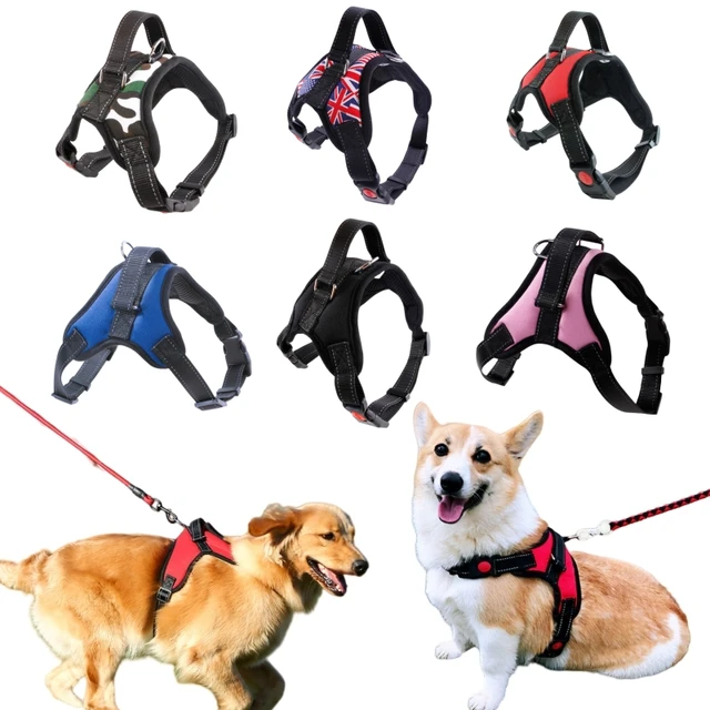 Small Medium Large Dog Harness Strong Harness Vest for Dogs Pet Shop Everything for Dogs Golden Retriever Chihuahua Accessories Small Medium Large Dog Harness Strong Harness Vest for Dogs Pet Shop Everything for Dogs Golden Retriever Chihuahua Accessories