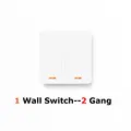 Only 1 Switch--2Gang