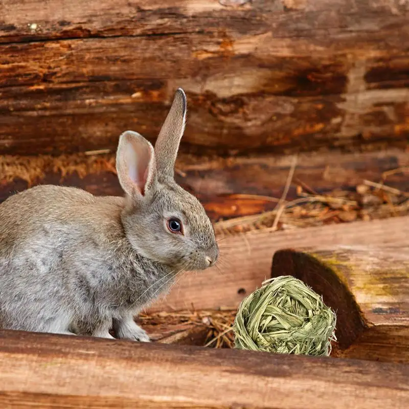 Grasbal Grasring Huisdierentanden Slijpen Speelgoed Hamster Kauw Speelgoedtand Poetsen Kies Kleine Dieraccessoires