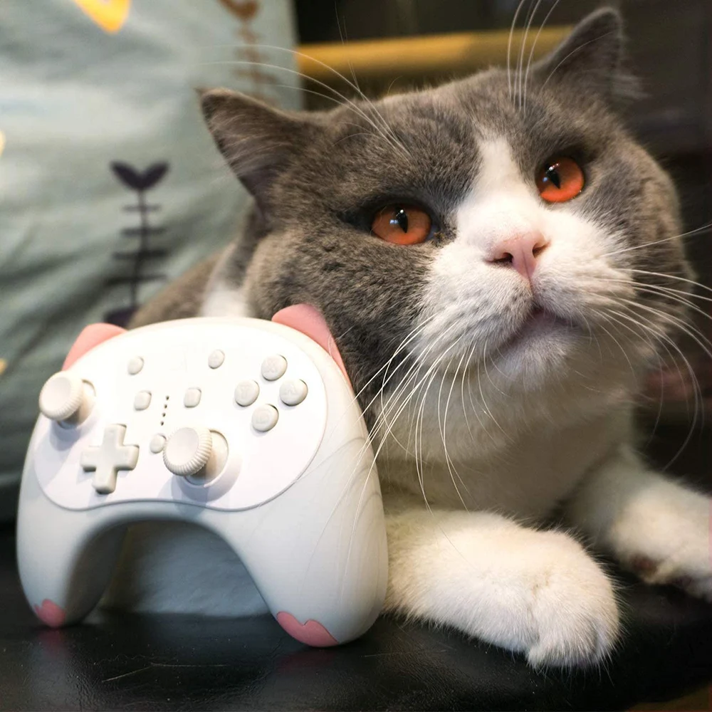   ڵ ͺ ũ е, PC ī ŰƼ, ٵ ġ 6  ̷ν Ʈѷ, ǰ
